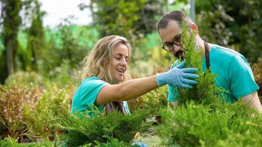 Park Bahçe ve Koruların Bakımı Elemanı Kursu