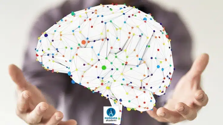 Bilişsel Davranışcı Terapi Eğitimi- BDT Eğitimi