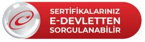 e devlet'ten sorgulama