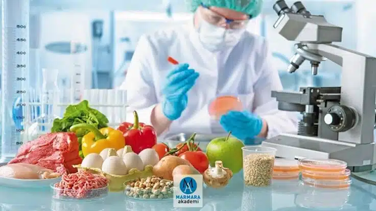 Hijyen Eğitimi Sertifika Programı