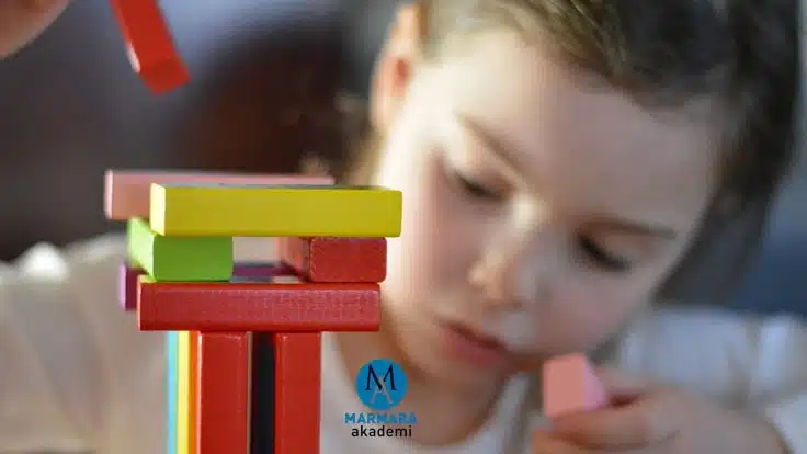 Wisc-r Zeka Testi Sertifika Programı